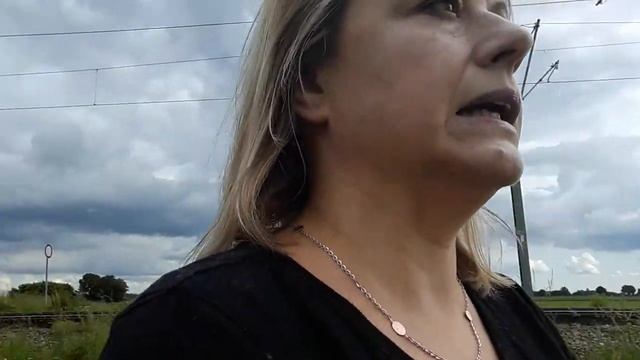 Сбор лебеды, тысячелистника, красного клевера и прочего в июне - дикие съедобные и лечебные травы