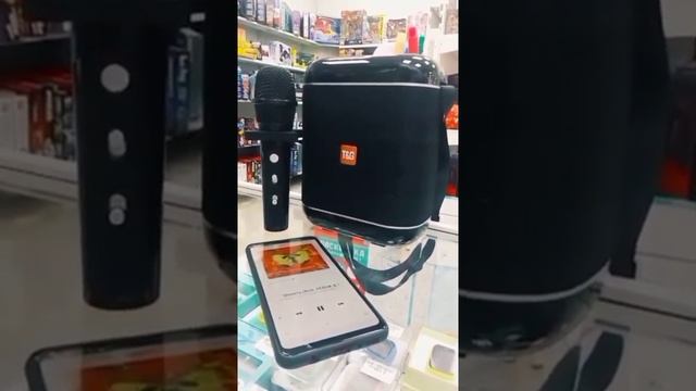 Портативная колонка и микрофон смотреть онлайн