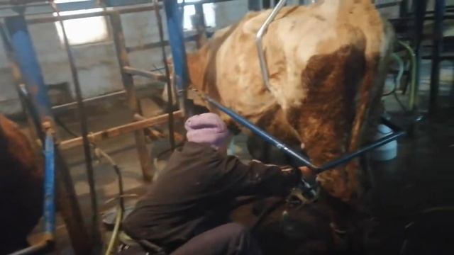 Антибрык,в деле. смотреть онлайн