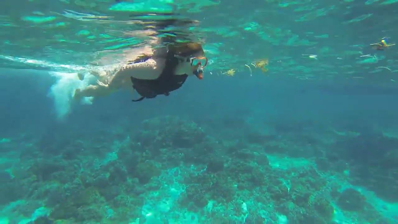 поэзия белой горячки смотреть онлайн