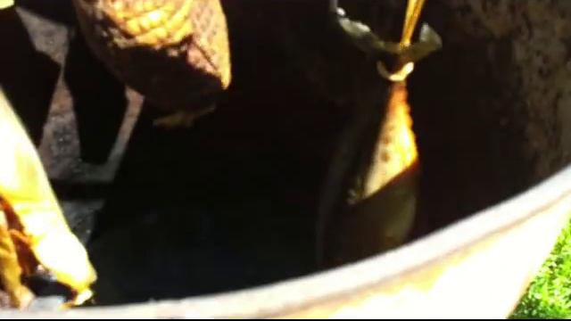 Холодное копчение. смотреть онлайн