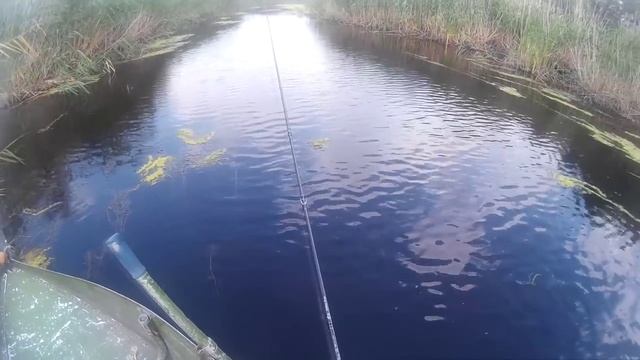 Твичинг с Maximus Manic 20ML смотреть онлайн