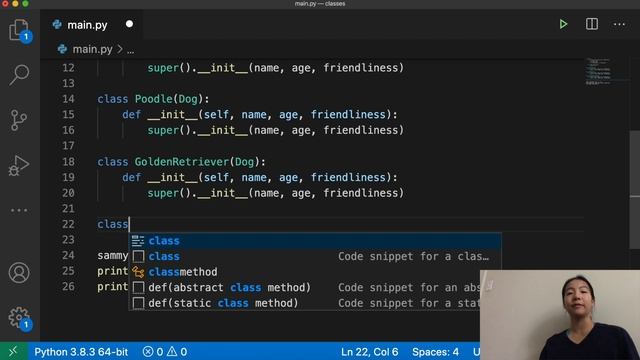 Inheritance/Polymorphism in Object Oriented Programming | Python for Beginners | Code with Kylie #1 смотреть онлайн