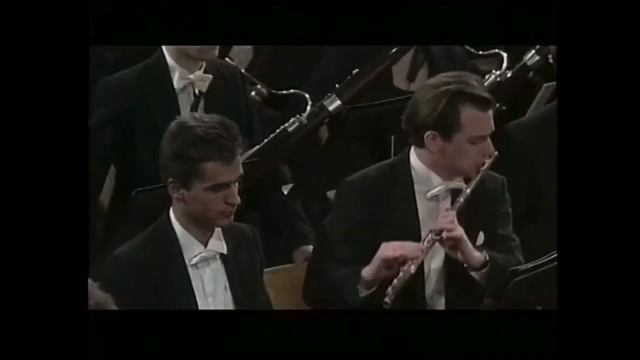 Brahms’s 1st Symphony, Finale Horn Solo смотреть онлайн