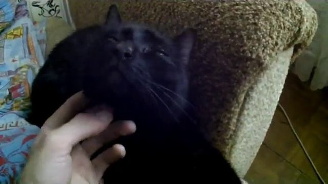 тест моей новой экшен камеры смотреть онлайн