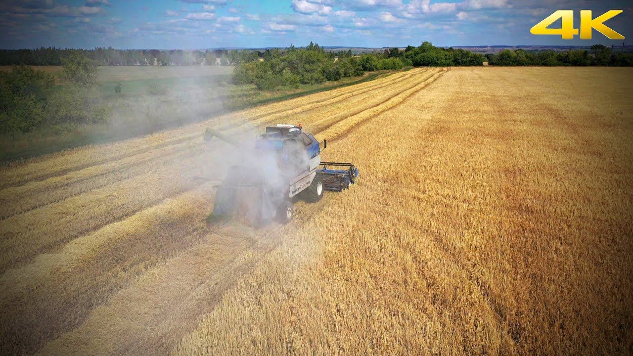 Так загораются комбайны в поле! /// Russian combine caught fire in the field! смотреть онлайн