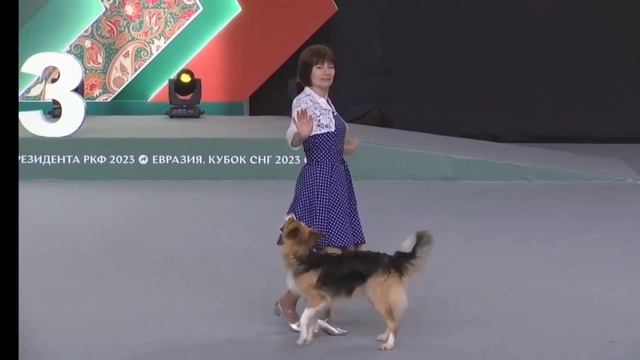 Потанцуем? смотреть онлайн