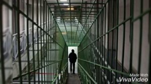 СИЗО 6  Москва, Этап, Свобода. Следствия в 10 месяцев превратились в ад.