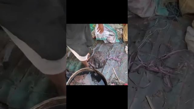 Пластиковые стулья. смотреть онлайн