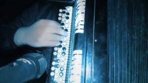 А белый лебедь на пруду на баяне