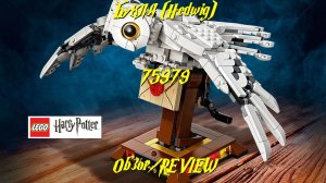 Букля (Hedwig) - обзор набора LEGO Гарри Поттер 75979