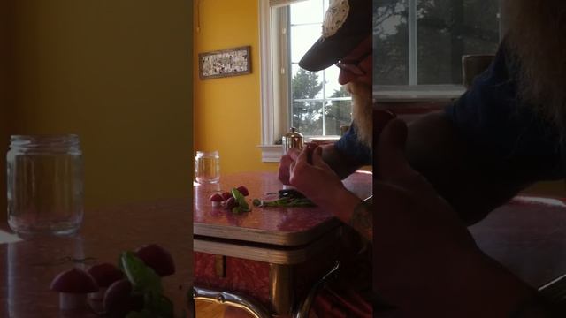 amanita mushroom radish ++ смотреть онлайн