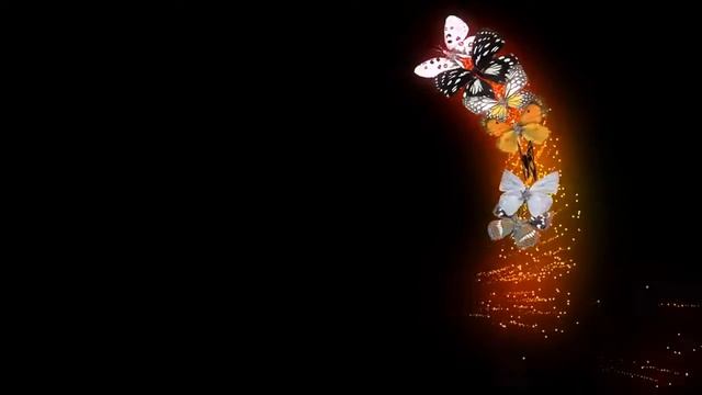 ФУТАЖ БАБОЧКИ смотреть онлайн