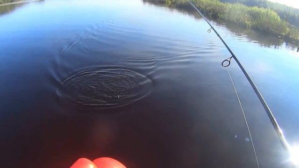 Lucky Craft Flash Pointer 115. Найти и поймать щуку.