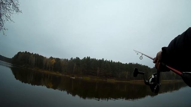 Ловля на спиннинг с берега на лесном озере. От ноля ушел. смотреть онлайн