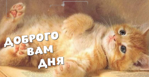 Добрый День?☕