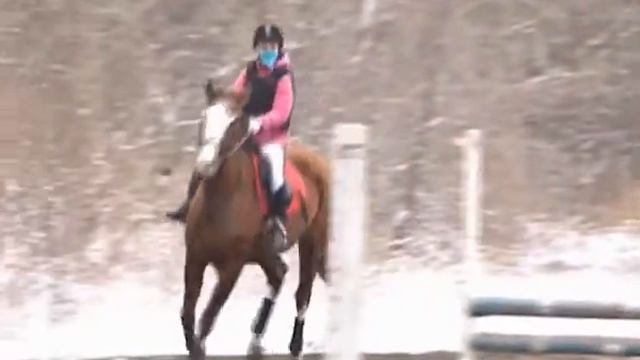 Конкур/Выездка (Уссурийск) смотреть онлайн