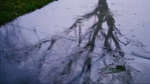 Звуки дождя и грома для крепкого сна смотреть онлайн