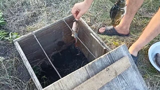 коптильня в земле.копчение древним способом