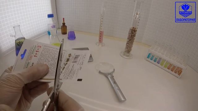 Огурец Кураж F1. Гавриш серия 1+1=3