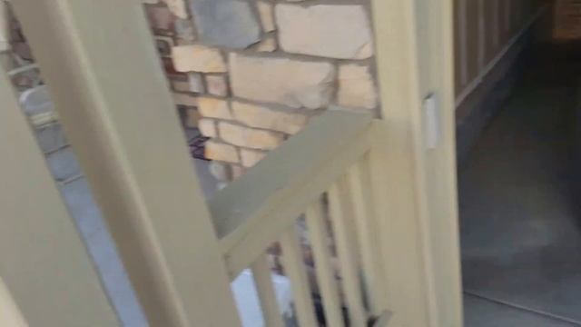 Getting Rid Of Pigeons Using Pigeon Gel: The Aftermath смотреть онлайн