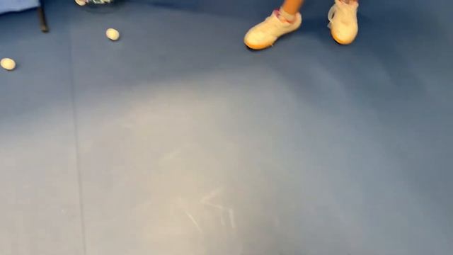 MyPingPongBuddy Table Tennis Ball Collector смотреть онлайн