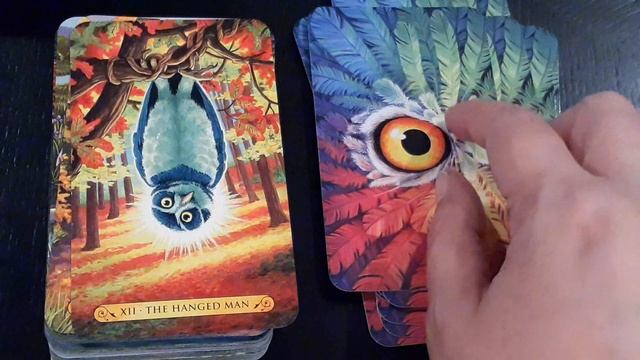 Tarot Review Tarot of the Owls by Pamela Chen смотреть онлайн