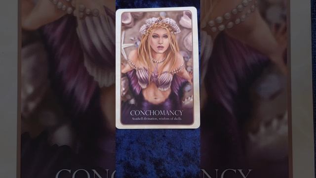 Conchomancy (32) ? Oracle of the Mermaids card meaning смотреть онлайн