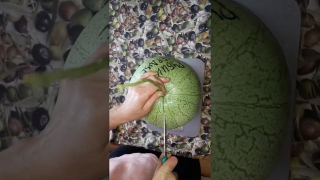 Арбуз Лен.обл.2019г. смотреть онлайн