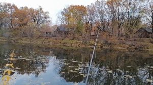 Осенний спиннинг с берега. В первые в этом году попал на пресноводную рыбалку, щука и окунь есть.