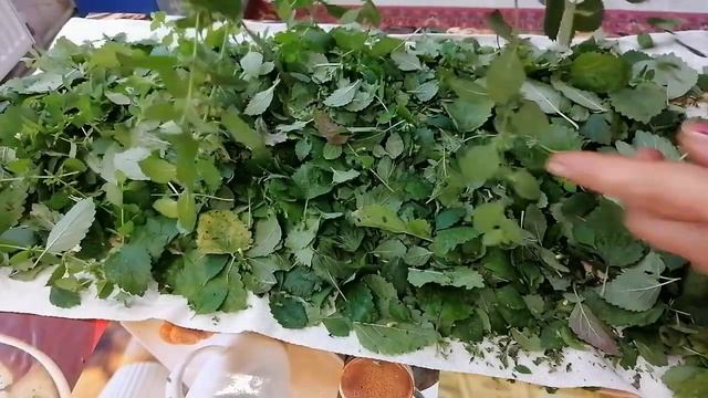 Секреты Профессионала