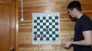 Как ходит конь в шахматах