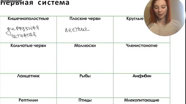 СРАВНИТЕЛЬНАЯ КЛАССИФИКАЦИЯ ВСЕХ СИСТЕМ ОРГАНОВ ЖИВОТНЫХ | БИОЛОГИЯ ЕГЭ | Лина Клевер смотреть онлайн