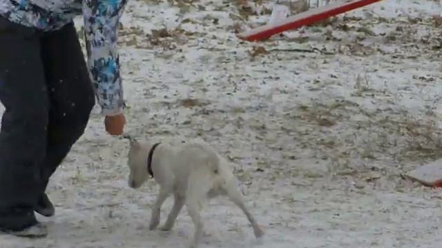 18 11 2012 Адж Полина и Байк смотреть онлайн