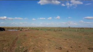 День из жизни  Гаучо в пампасах Аргентины. Un día de la vida de gaucho de pampas de Argentina.