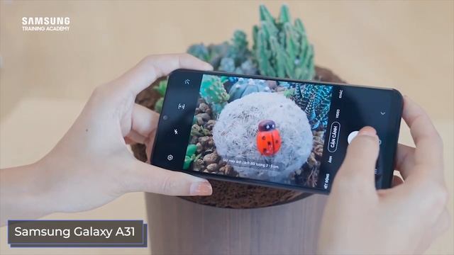 Samsung Galaxy A31 vs Galaxy A51. Где разница? смотреть онлайн