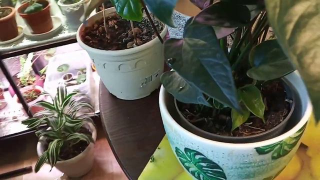 27 марта 2021 г. смотреть онлайн