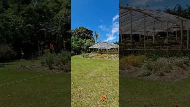 Gardenia resto n resort Tomohon смотреть онлайн