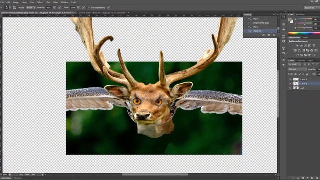 Deer + owl = dowl. The making of a Photoshopped hybrid animal смотреть онлайн