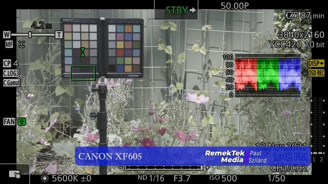Canon XF605 Colour Profiles Examples смотреть онлайн