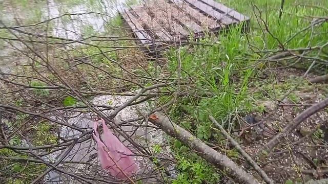 падение реки Кубань летом приводит к пробиванию нового русла под землёй, подмыв фундаментов. смотреть онлайн