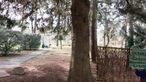 Абхазия, Санаторий Самшитовая роща, февраль 2024