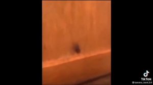 удар колбасой