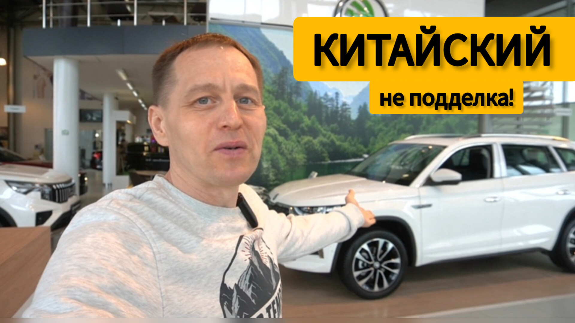 Skoda Kodiaq (Кодиак) вернулся на российский рынок. Только теперь - это 