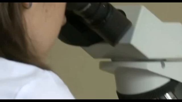 Опасный китайский предшественник коронавируса смотреть онлайн