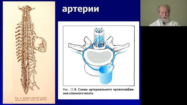 Кодзаев Ю.К. Позвоночник. Анатомия. Биомеханика. смотреть онлайн