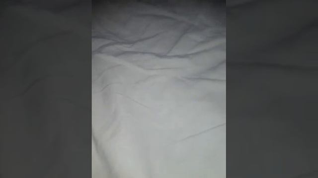 Что  если родители не  разрешают  быть  блогером