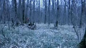 Fedor  Emelianenko - Pendulum «The Tempest» Music Video