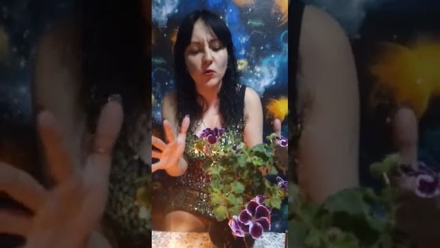 песня ,,я искала лишь тебя,, для привлечения второй половинки . смотреть онлайн