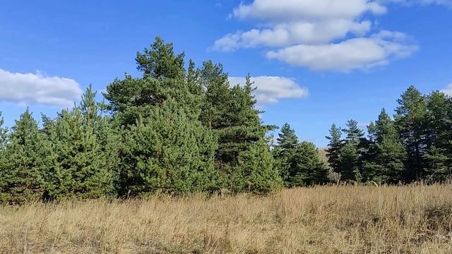 26 ноября праздник День Ивана Златоуста. Народные приметы и традиции. Запреты дня. Именинники дня. смотреть онлайн